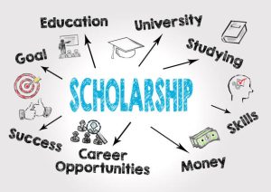 Vocational postgraduate scholarships

